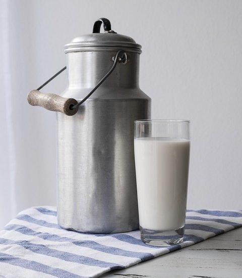 plant-based protein meals