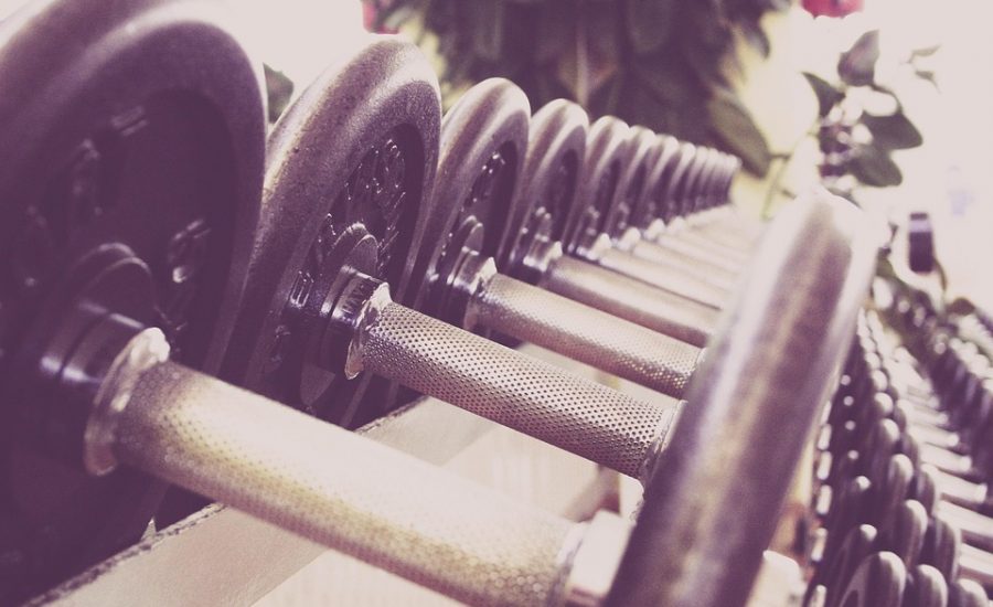 no equipment exercises