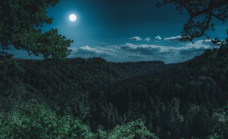 how to stop emotional eating at night
