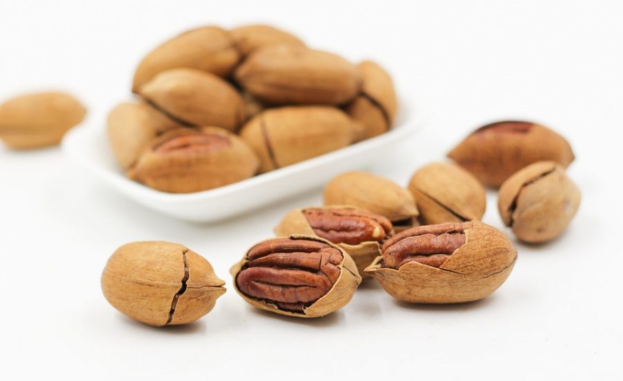 best protein snacks for weight loss
