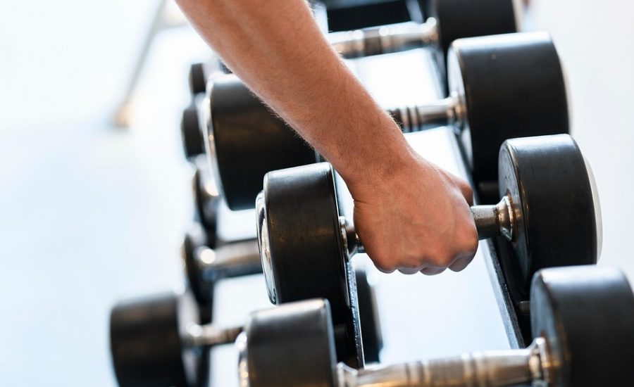 no equipment exercises