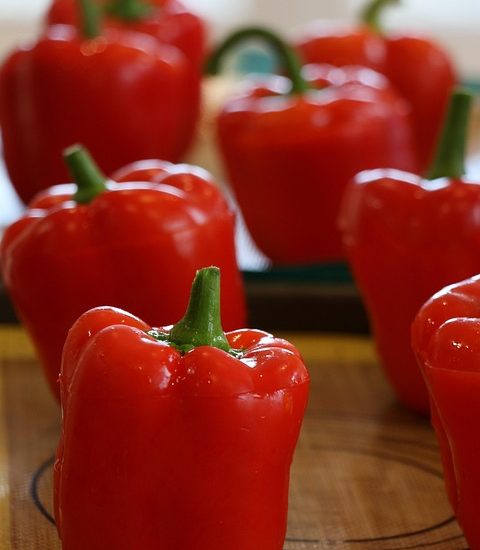 protein-packed vegetarian recipes