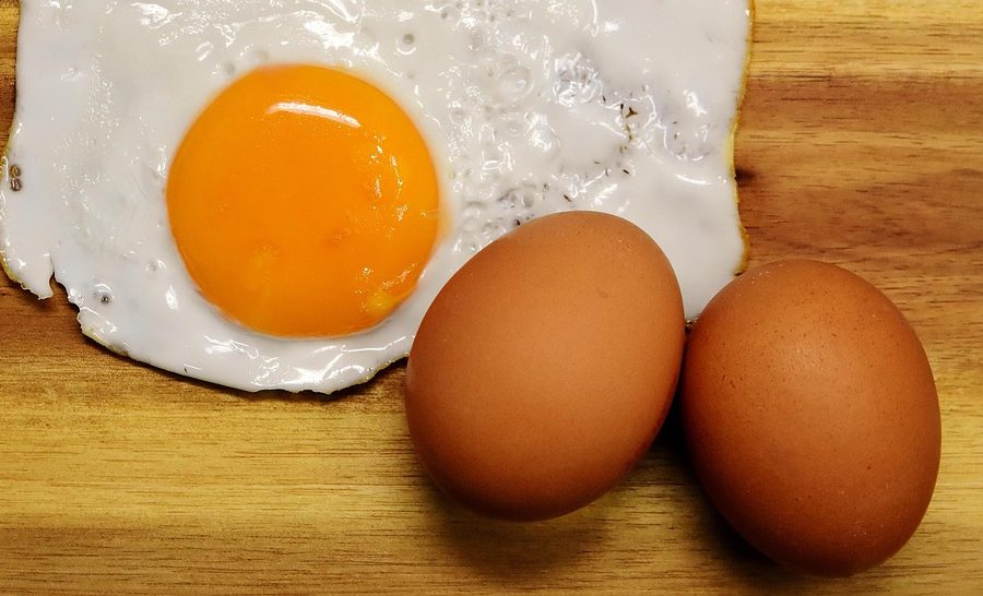 high-protein meal ideas