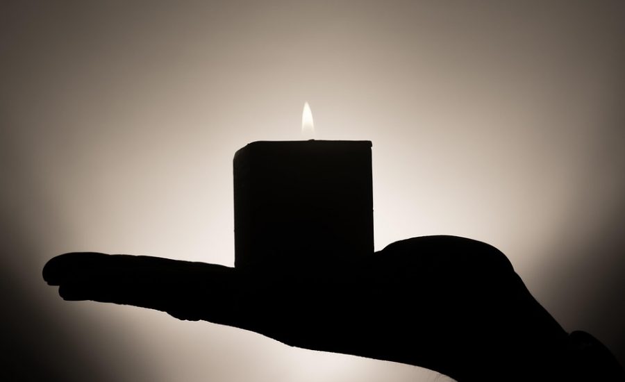 wellness and longevity