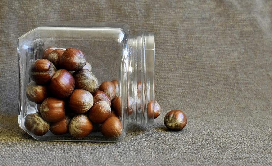 best protein snacks for weight loss