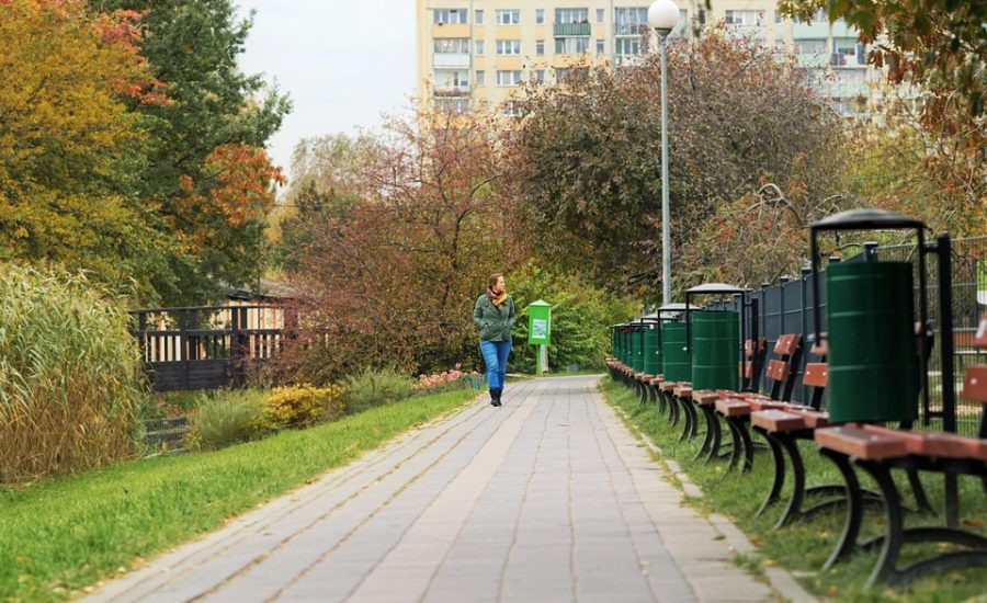 walking for weight loss