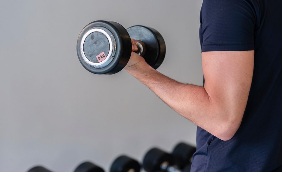 easy workout plan without gym