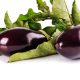 GLP-1 diet plan and food recommendations