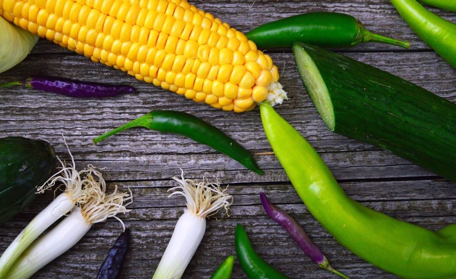 GLP-1 weight loss programs