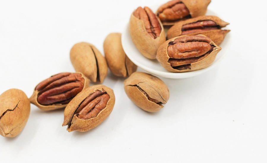 best protein snacks for weight loss