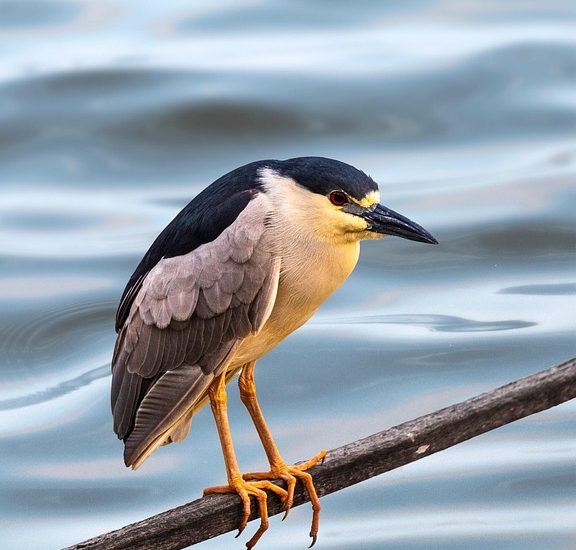 natural ways to balance hormones