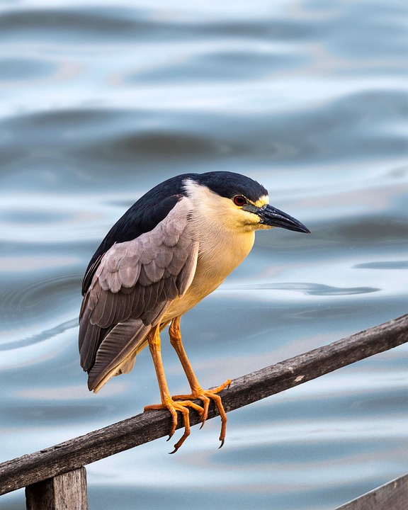 Natural Hormone Balance: 7 Essential Lifestyle Changes You Can Make