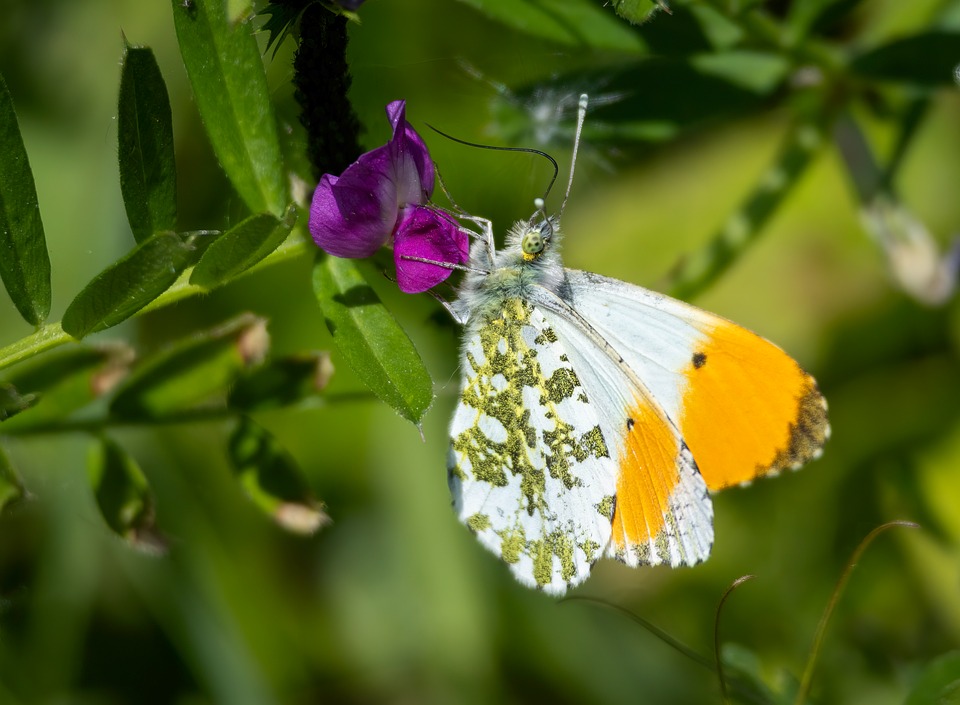 Overcoming Stress Eating: Expert-Backed Tips for Lasting Change