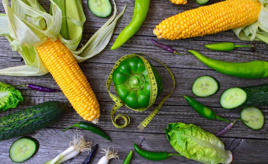diet plans for weight loss