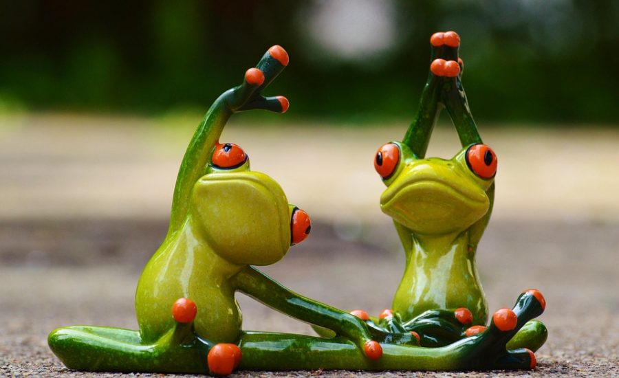 fitness tips for absolute beginners