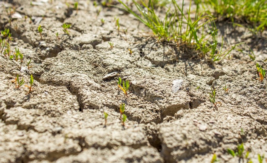 calorie deficit explained