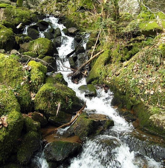 how to balance glycemic load in meals