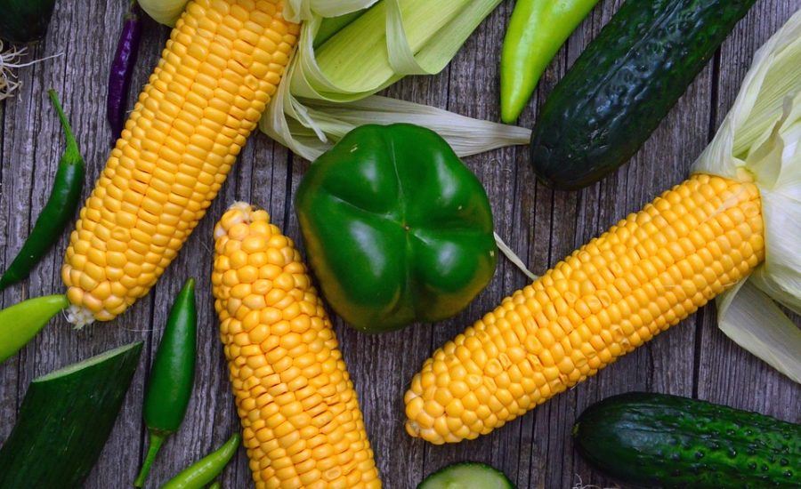 motivation for weight loss