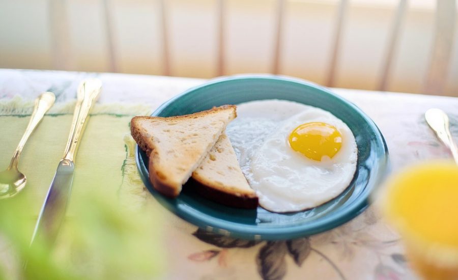 healthy protein shakes at home