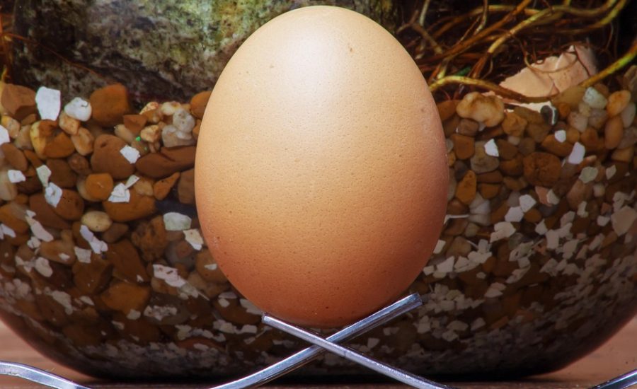 high-protein meal prep recipes