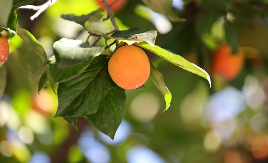 lifestyle changes for lasting results