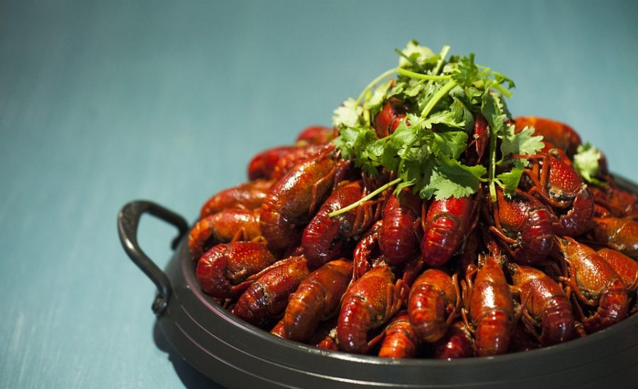 GLP-1 and Type 2 Diabetes: The Ultimate Guide to Weight Loss and Better Health