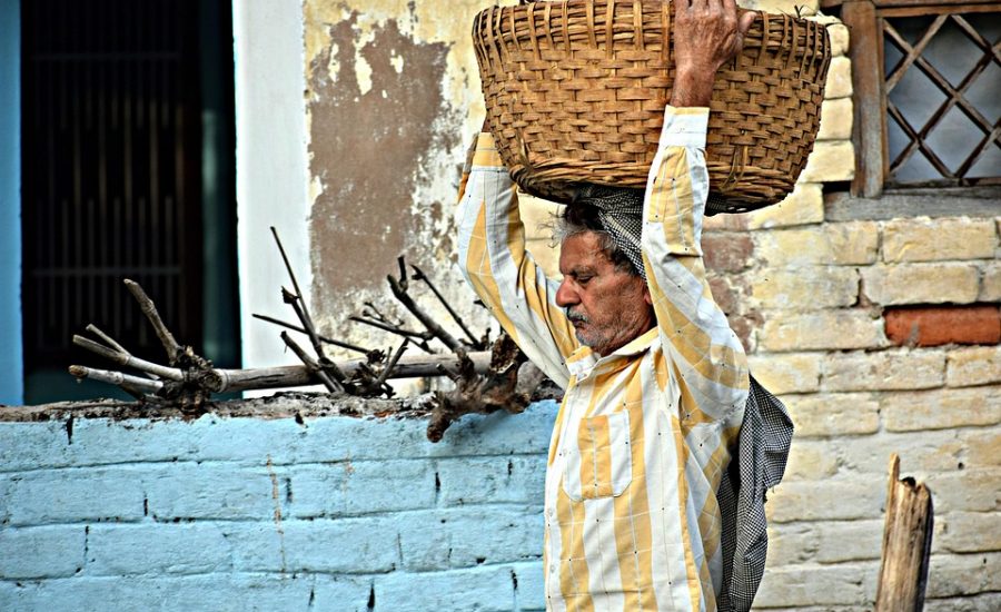 walking for weight loss