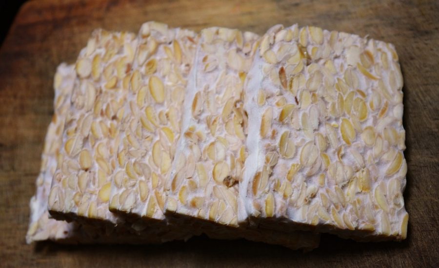 plant-based protein meals