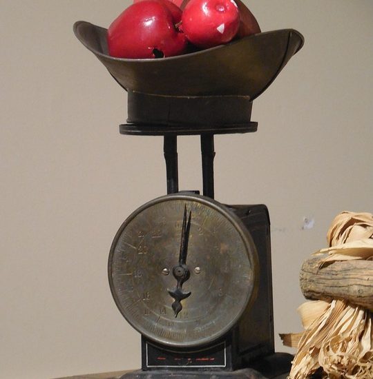 daily weight loss tracker tools