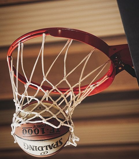 No Gym? No Worries! Best No Equipment Exercises for Beginners