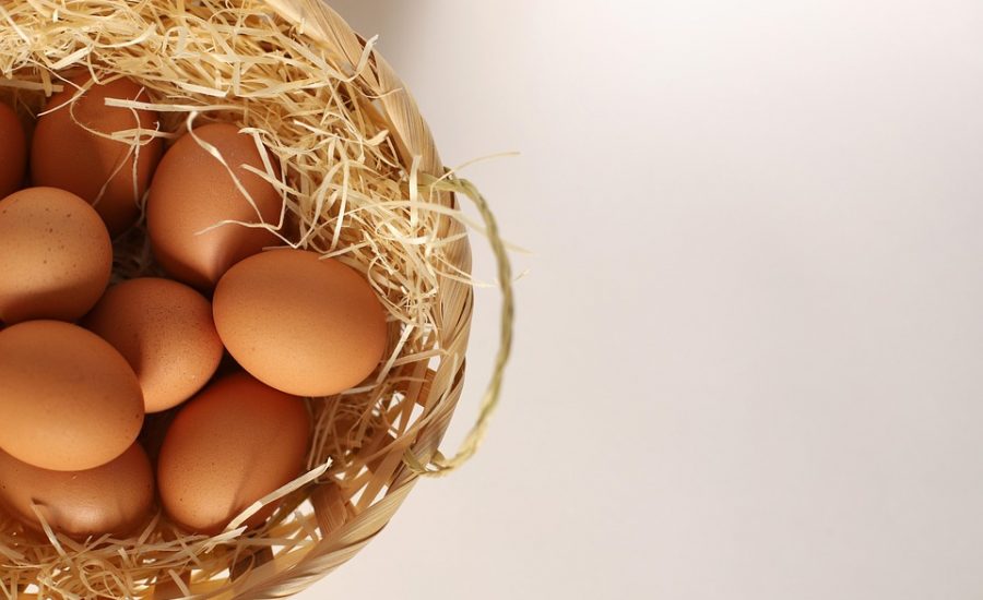 chicken recipes high in protein