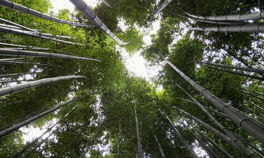 SculpSure vs CoolSculpting