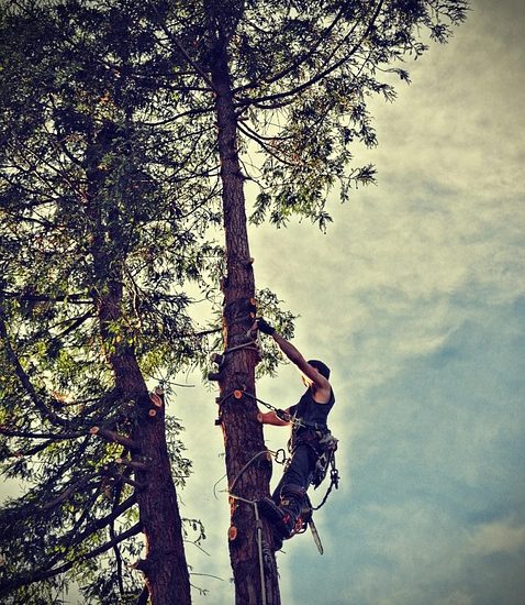 radiofrequency fat removal