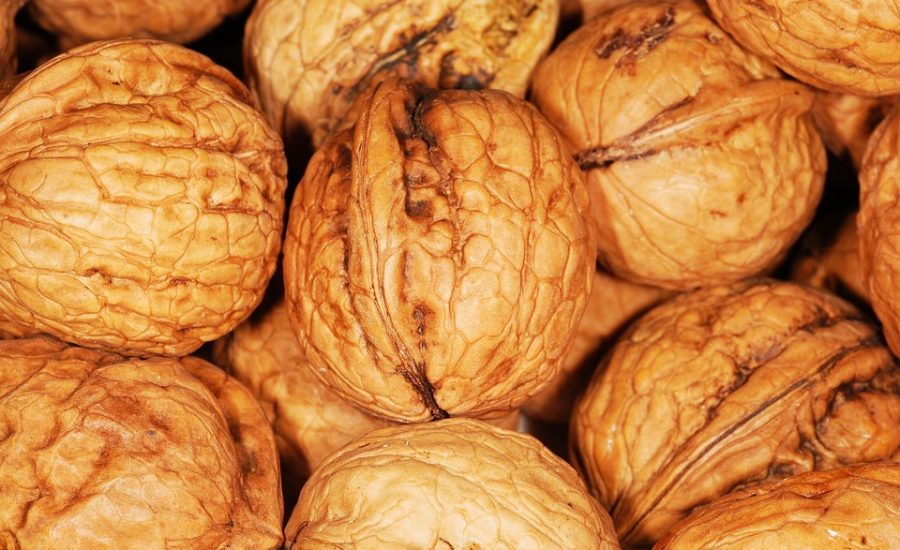 protein-packed vegetarian recipes