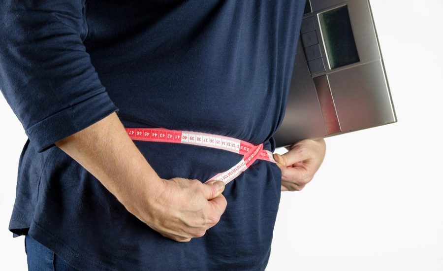 measuring body fat vs. weight loss