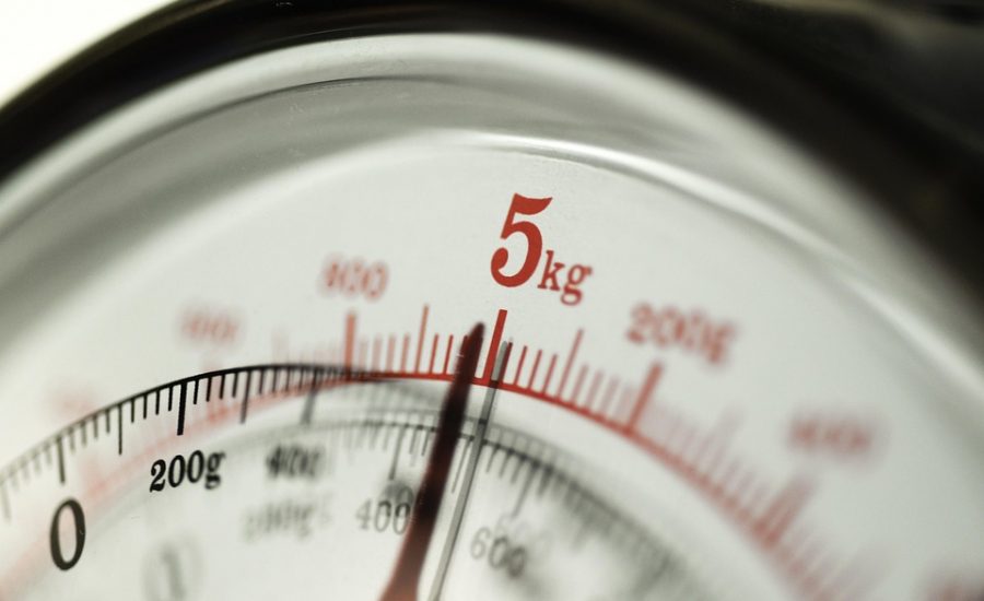 daily weight loss tracker tools