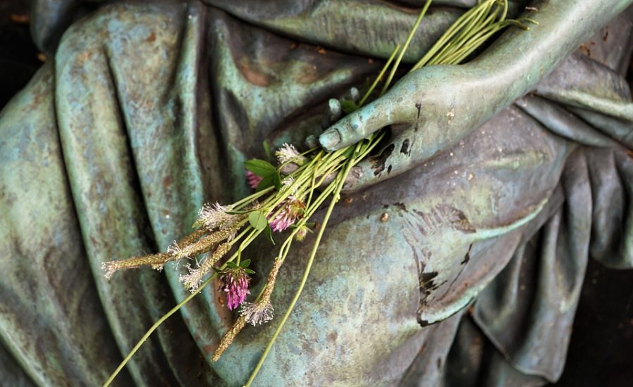 anti-aging strategies