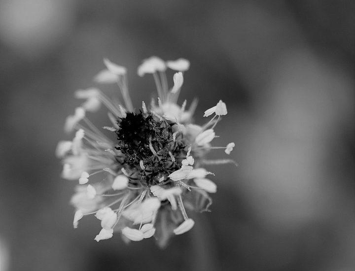 anti-inflammatory lifestyle