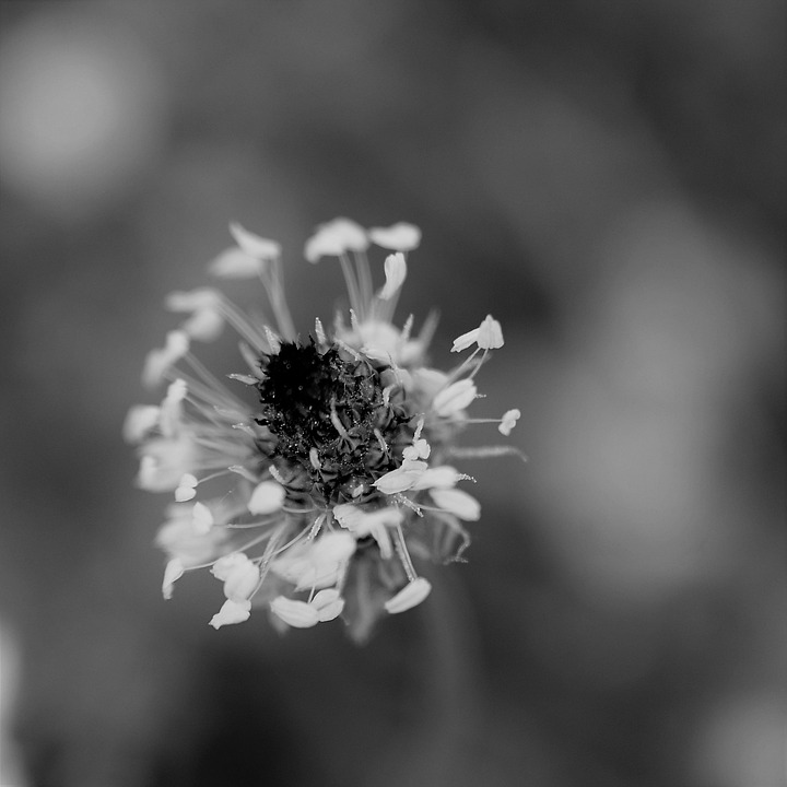 Exploring the Anti-Inflammatory Diet: Key Ingredients for Wellness