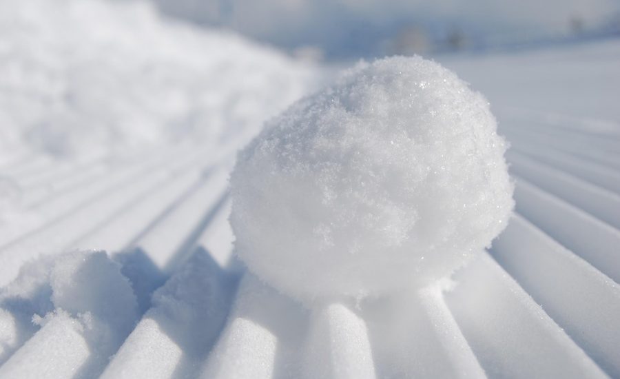 Fat Freezing Treatment Pricing: What Influences the Cost?