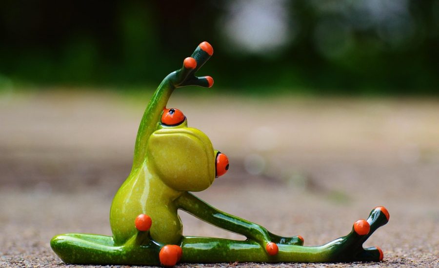 fitness tips for absolute beginners