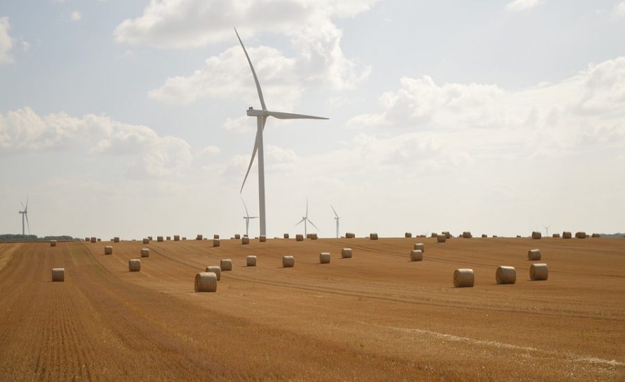 intermittent fasting for sustainable results