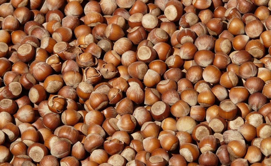 best protein snacks for weight loss