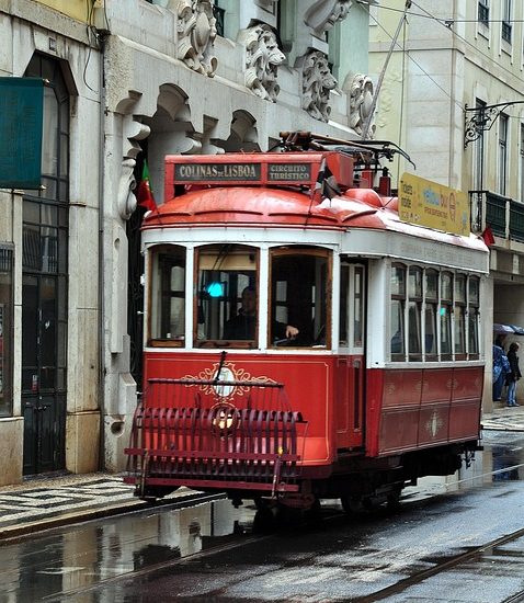 red light therapy before and after fat loss