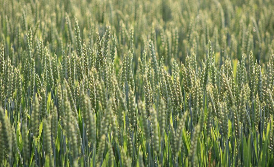 sustainable weight loss