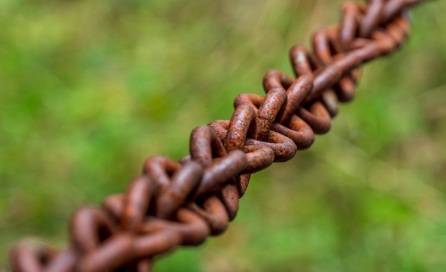 food and mood connection