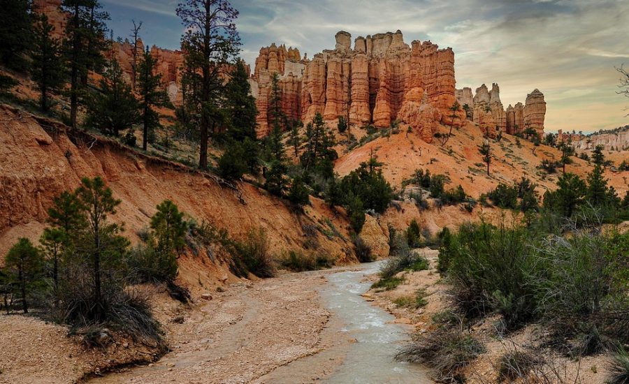 semaglutide vs tirzepatide