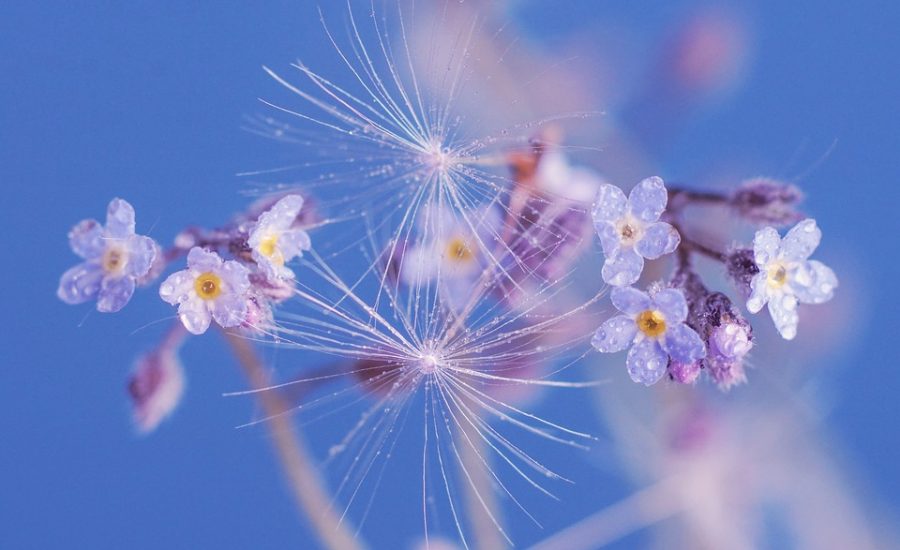 cryolipolysis near me