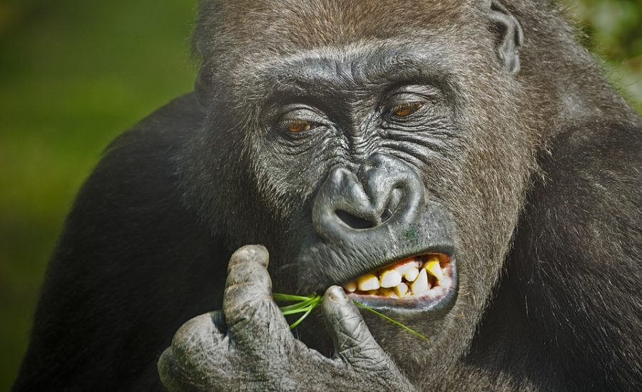 coping with emotional hunger