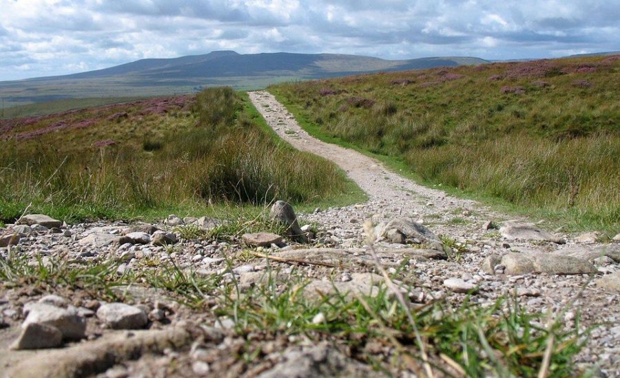 low-level laser therapy for weight loss